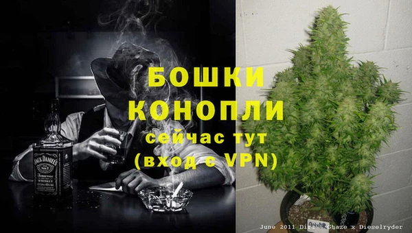герыч Бронницы